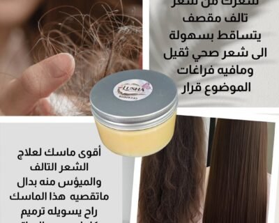 660631740_17968138866018746_912590652958961195_n